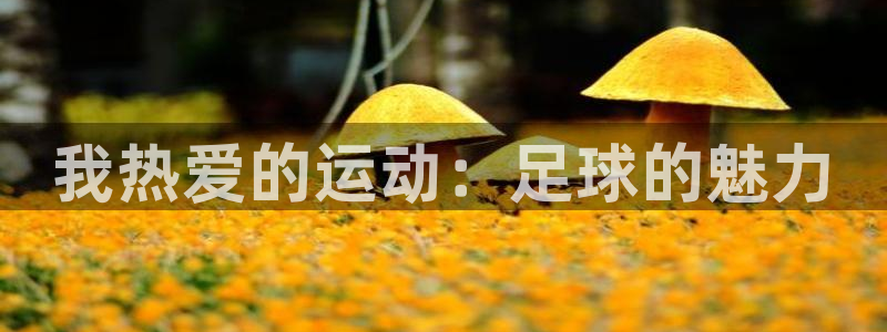 哈哈体育