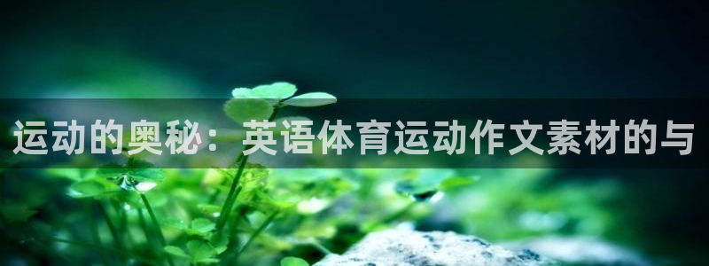 哈哈体育十年