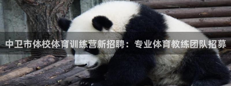 哈哈体育下载