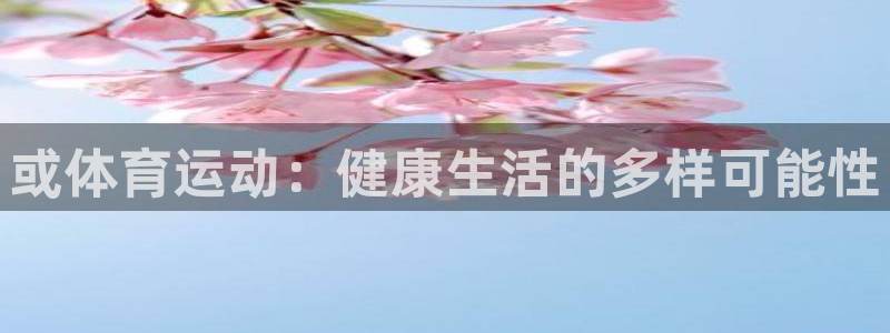 哈哈体育十年