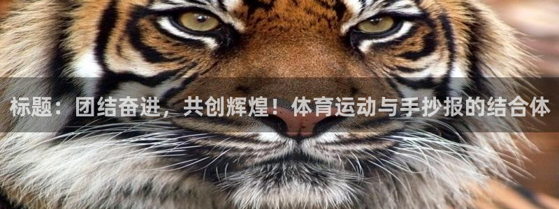 哈哈体育十年：标题：团结奋进，共创辉煌！体育运动与手抄报的结合体