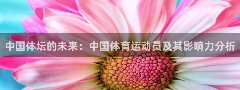 哈哈体育十年