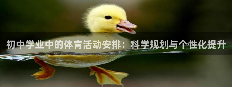哈哈体育十年：初中学业中的体育活动安排：科学规划与个性化提升