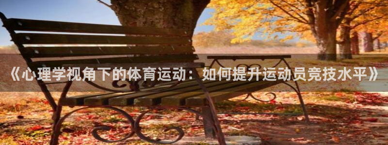 哈哈体育十年
