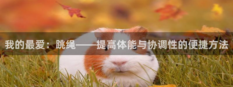 哈哈体育