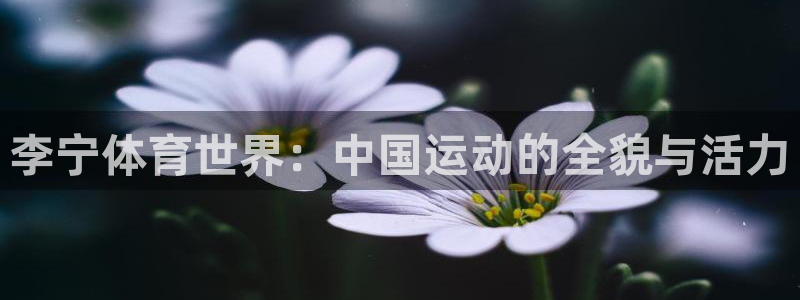 哈哈体育十年