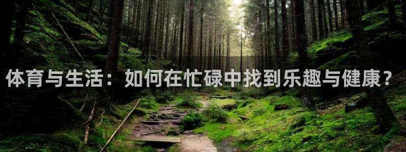 哈哈体育下载