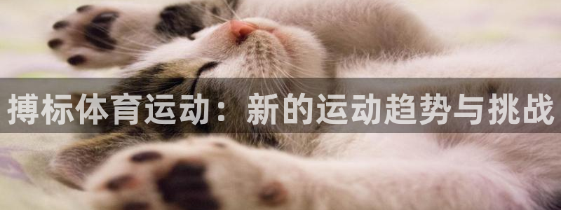哈哈体育十年：搏标体育运动：新的运动趋势与挑战