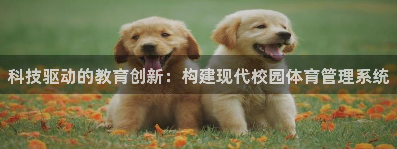 哈哈体育十年：科技驱动的教育创新：构建现代校园体育管理系统